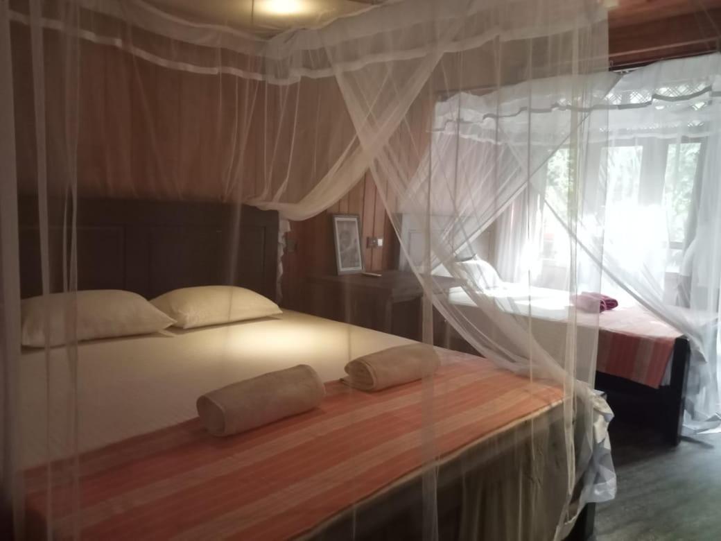 Affittacamere Piumi House Dikwella Esterno foto