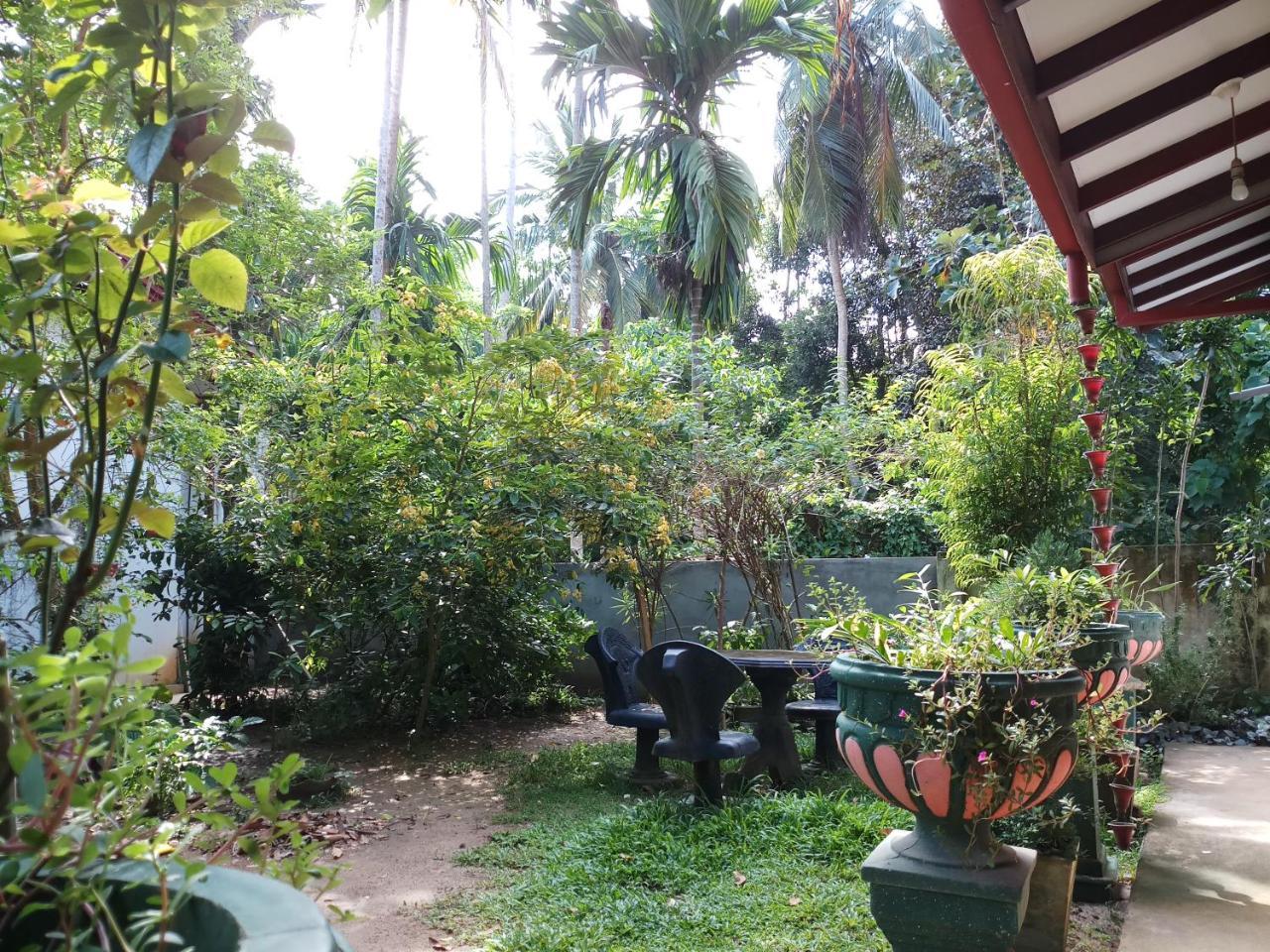 Affittacamere Piumi House Dikwella Esterno foto